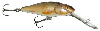 0001_Salmo_Perch_SDR_8_cm_[Real_Roach].jpg